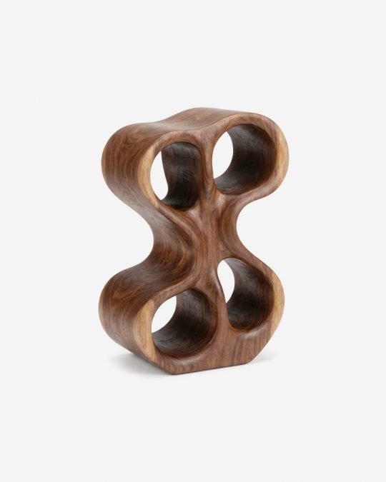 Organic Loop Sculpture